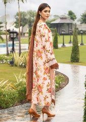 Winter Collection - Humdum - Diva - D#06