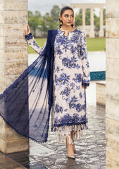 Winter Collection - Humdum - Diva - D#04