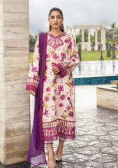 Winter Collection - Humdum - Diva - D#02