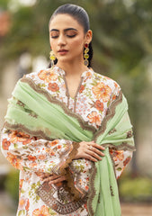 Winter Collection - Humdum - Diva - D#10