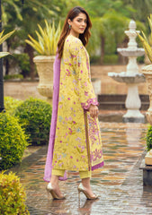 Winter Collection - Humdum - Diva - D#09