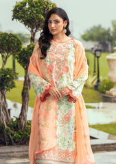 Winter Collection - Humdum - Diva - D#03