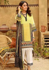 Lawn Collection - Panache - Aangan - PA21#08