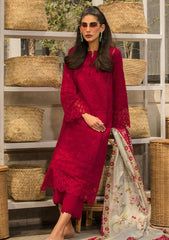 Lawn Collection - Rang Rasiya - Carnation - Festive - FED#10 - AYLA