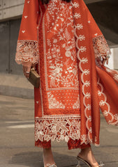 Lawn Collection - Rang Rasiya - Carnation - Festive - FED#6 - NORA