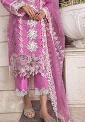 Lawn Collection - Rang Rasiya - Carnation - Festive - FED#7 - LIANA