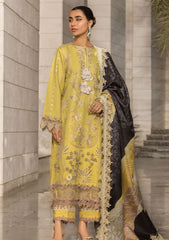 Lawn Collection - Rang Rasiya - Carnation - Festive - FED#9 - ZARIAH