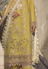Lawn Collection - Rang Rasiya - Carnation - Festive - FED#9 - ZARIAH