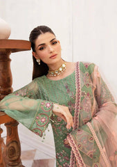 Formal Collection - Ramsha - Chiffon Vol-24 - FR#2406