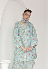 Lawn Collection - Noorma Kaamal - Chromatic - Chikankari - NK-CPC-06