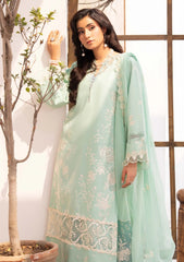 Lawn - Humdum - Nayab 26 - D#07