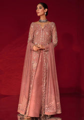 Formal Collection - Rang Rasiya - Chatoyer - Wedding - D#07 - ROSA