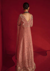 Formal Collection - Rang Rasiya - Chatoyer - Wedding - D#07 - ROSA