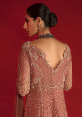 Formal Collection - Rang Rasiya - Chatoyer - Wedding - D#07 - ROSA