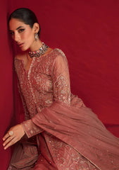 Formal Collection - Rang Rasiya - Chatoyer - Wedding - D#07 - ROSA