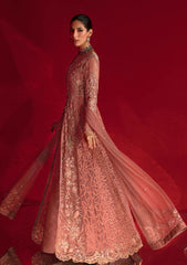 Formal Collection - Rang Rasiya - Chatoyer - Wedding - D#07 - ROSA