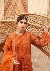 Formal Collection - Shanzay - PERSIMMON - D#04