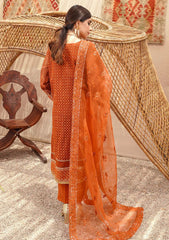 Formal Collection - Shanzay - PERSIMMON - D#04