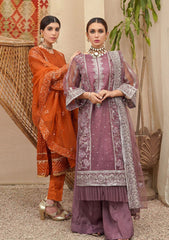 Formal Collection - Shanzay - PERSIMMON - D#04