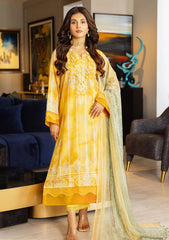 Lawn Collection - Nureh - Signature Prints - SP#47