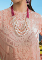 Winter Collection - Sable Vogue - Unstitched' 23 - D#01