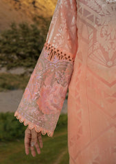 Winter Collection - Sable Vogue - Unstitched' 23 - D#01