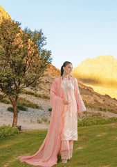 Winter Collection - Sable Vogue - Unstitched' 23 - D#01