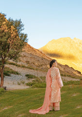 Winter Collection - Sable Vogue - Unstitched' 23 - D#01