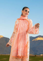 Winter Collection - Sable Vogue - Unstitched' 23 - D#01