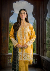 Winter Collection - Sable Vogue - Unstitched' 23 - D#05