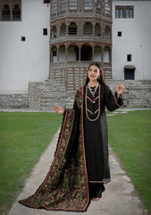 Winter Collection - Sable Vogue - Unstitched' 23 - D#07