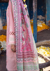 Lawn Collection - Sahane - Sahakari - Chikankari - CT#10004 - Mohini