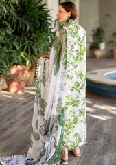 Lawn Collection - Asifa & Nabeel - Meraki Summer Vol 2 - AM24#06 - Sarsabz