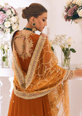 Formal Collection - Roheenaz - Sawariya - 09