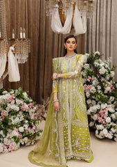 Formal Collection - Shiza Hassan - Gul-e- Bagah - TABEER - D#7
