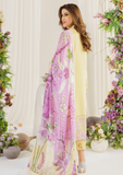 Lawn Collection - Asifa & Nabeel - Pretty In Pink -  AP24#10 - Versaila