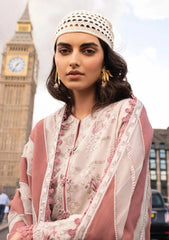 Winter Collection - Mushq - Broadway - Showtime - MNW#04