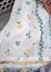 Lawn Collection - Zaha - Unstitched - Festive 24 - ZF24#08 - Leya