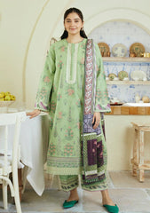 Lawn Collection - Zara Shahjahan - Coco - Eid Edit 24 - CEE#09 - NISA