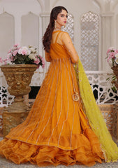 Formal Collection - Awwal - Aaina - Luxury Chiffon - AW#8 - Hasnat