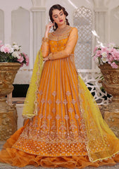 Formal Collection - Awwal - Aaina - Luxury Chiffon - AW#8 - Hasnat