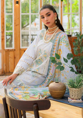 Lawn Collection - Mahnur - Bella Lawn 24 - MB#03