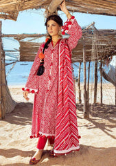 Lawn Collection - Gul Ahmed - Unstitched 24 - CL#42010 A