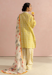 Lawn - Coco By Zara Shahjahan - Prints 25 - D9A - RUBY