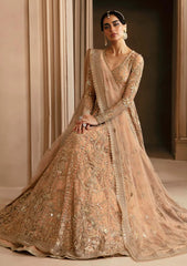 Formal Collection - Akbar Aslam - Deewani - AAD24#1555 - Aveline