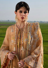 Formals - Hussain Rehar - Darlings Festive 25 - Sundal