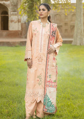 Winter Collection - Marjjan - Rangoon - RWS#53