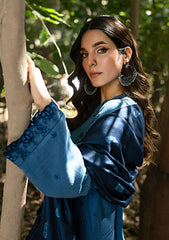 Winter Collection - Lakhany - Luxury Winter 24 - LG-AR-0044