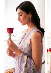 Lawn Collection - Seran - Jahaan - SJ24#03 - Amania