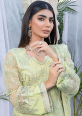 Formal Collection - Jasper - Sejal - Unstitched - Chiffon - D#181